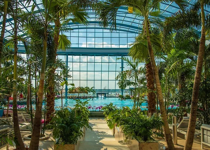 Suntago Village - Oficjalny Suntago * Mszczonów